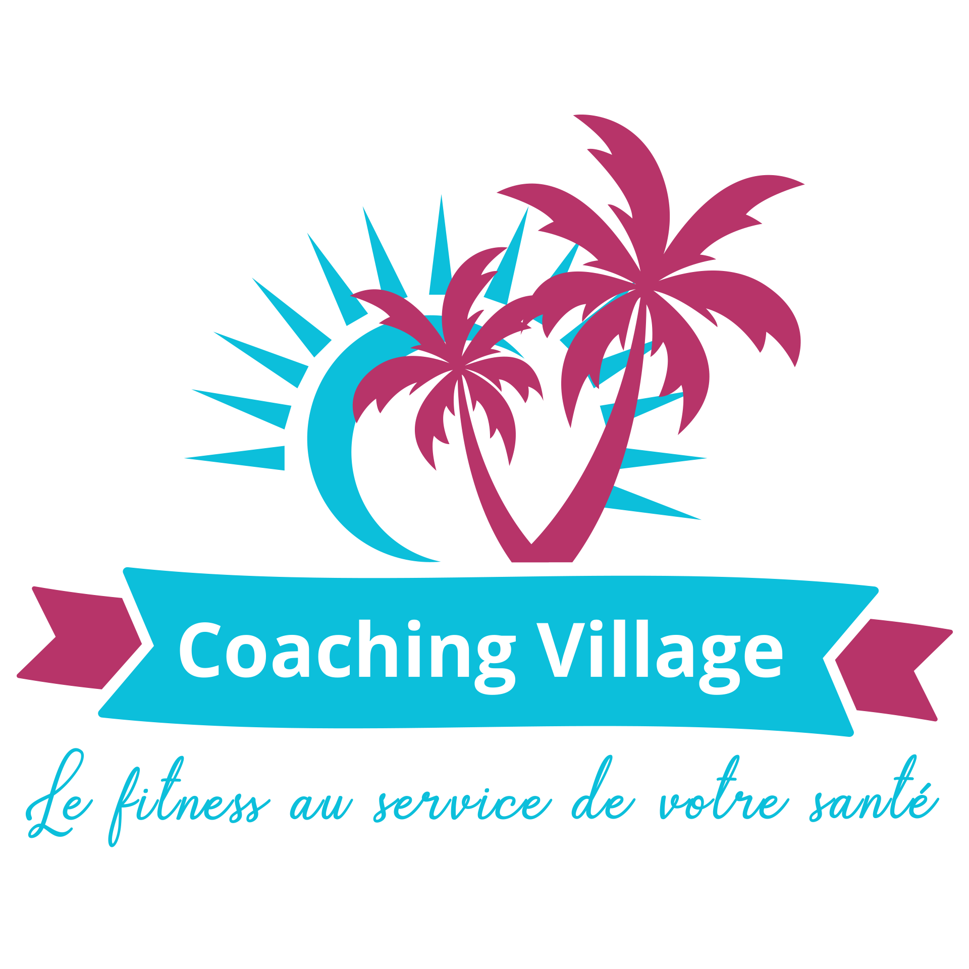 Logo hd coaching village 2020